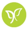 Klimaschmetterling Klimaschmetterling