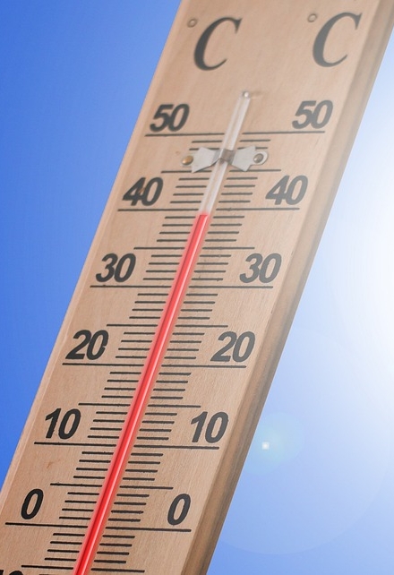 Thermometer 